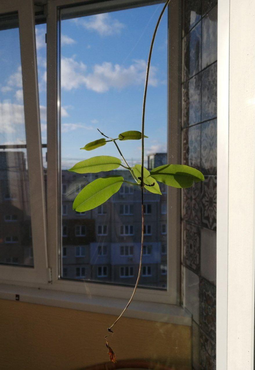 Фотографии Глеба Бегунова